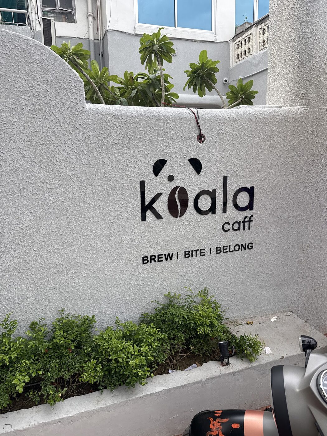 Koala Caff exterior signage